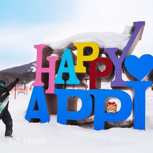 Appi Kogen Ski Resort Private Ski Lessons