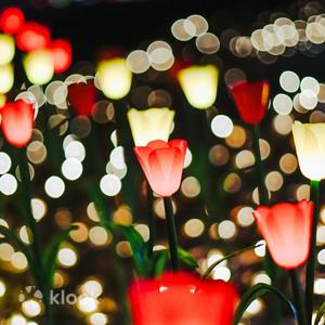 東京足利花卉公園＆佐野奧特萊斯私人一日遊