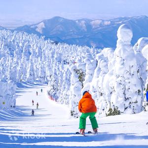 藏王溫泉滑雪場中文滑雪課程