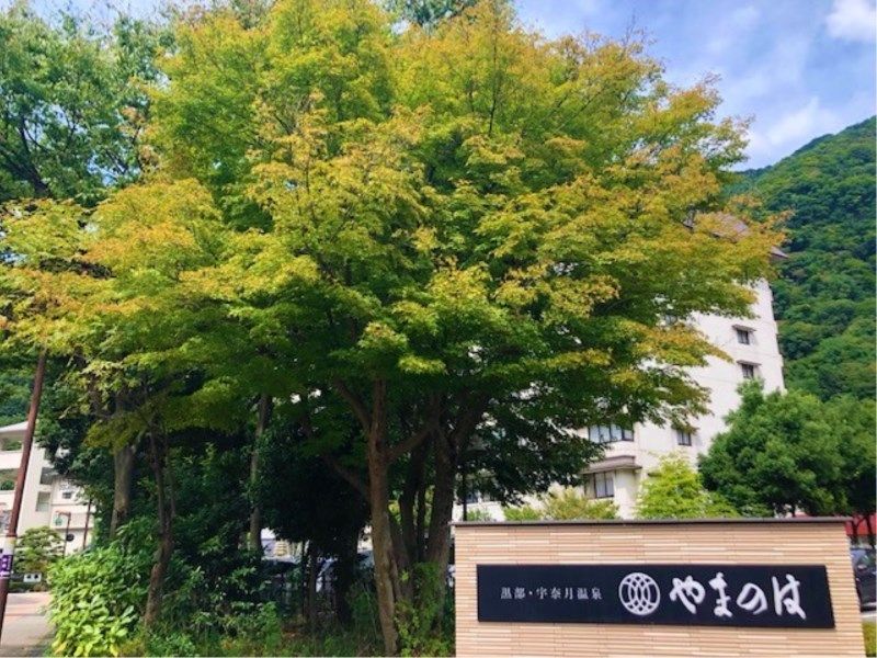 黑部宇奈月山之葉（UNAZUKI YAMANOHA）