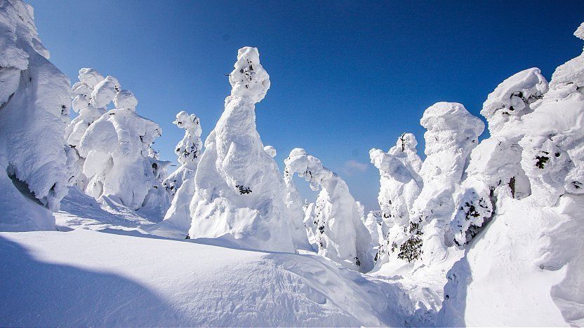 藏王溫泉滑雪場雪道
