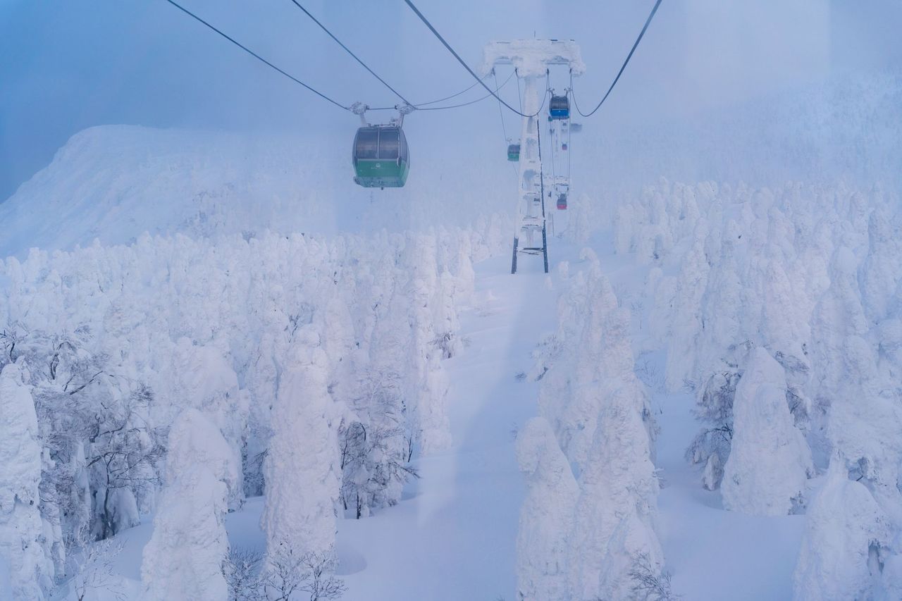 藏王溫泉滑雪場適合誰來?行前規劃建議