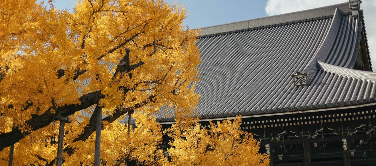 Nishi Honganji and Higashi Honganji in Kyoto