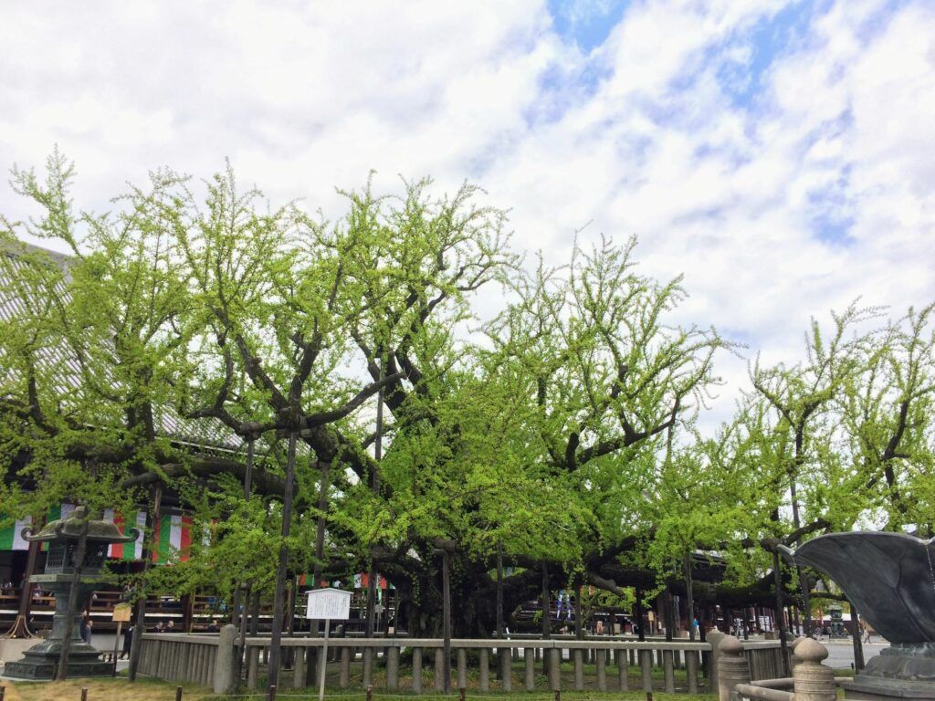 Nishi Honganji