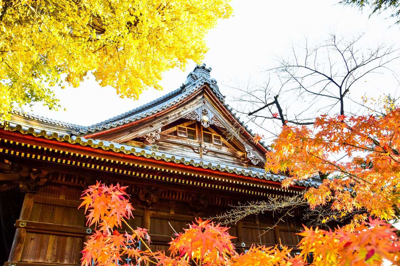 Nagaokakyo Komyoji