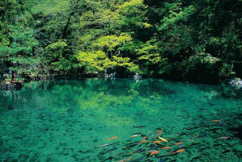 出流原弁天池