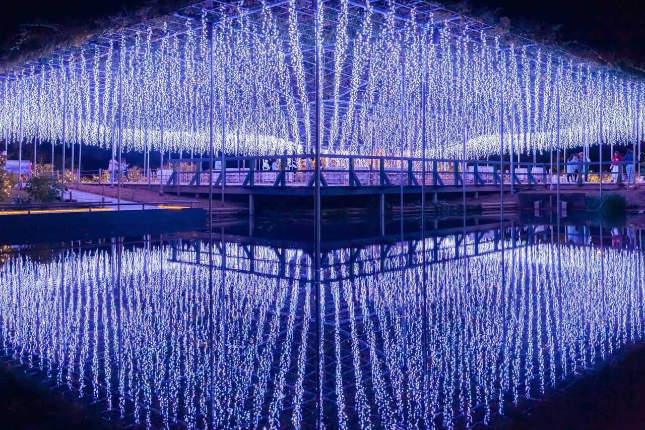 Ashikaga Flower Park winter illumination at night