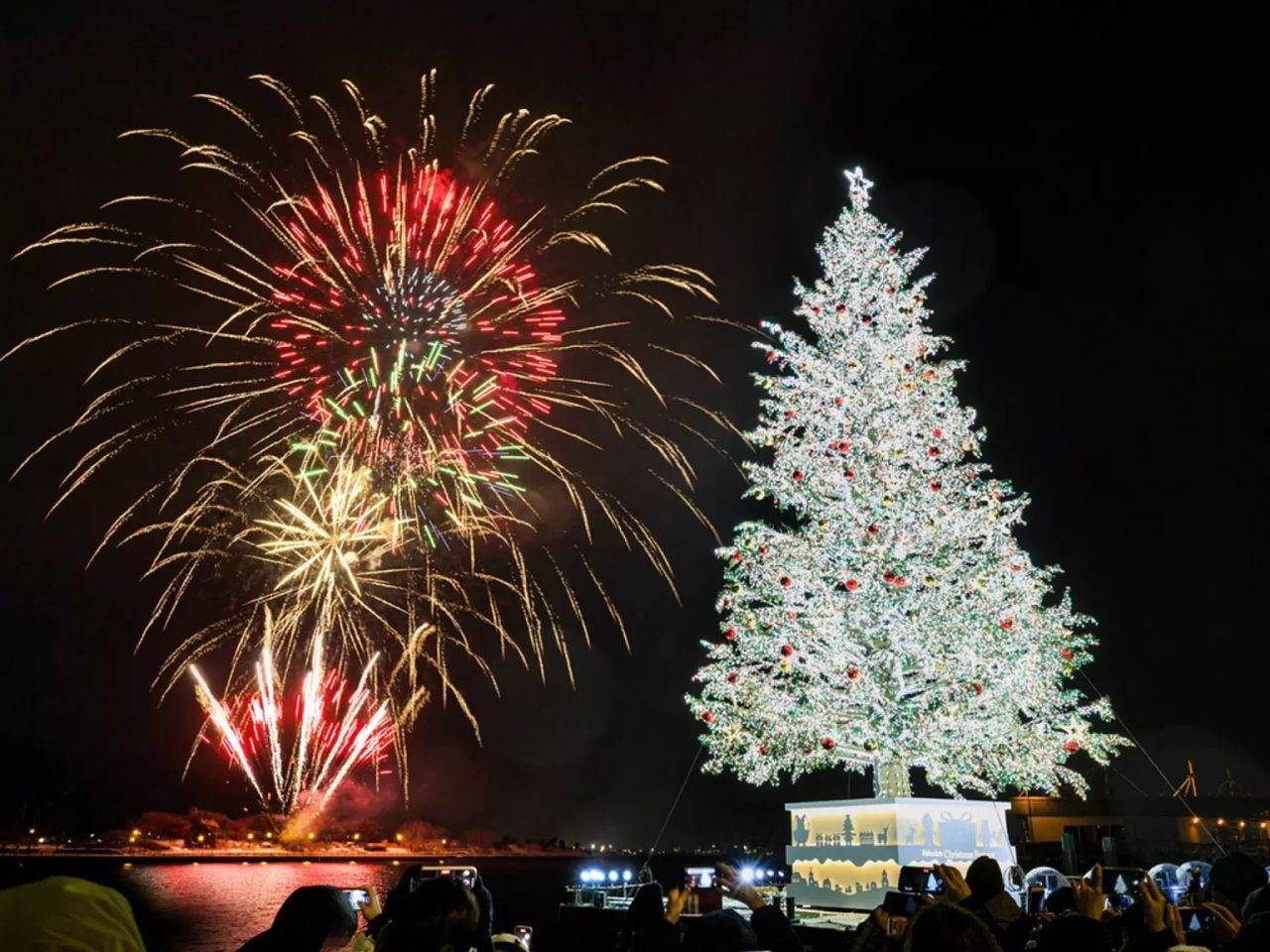 Giant sea Christmas tree