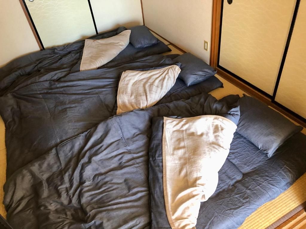 Chichibu Mizuno-stay Two-Bedroom Apartment room photo