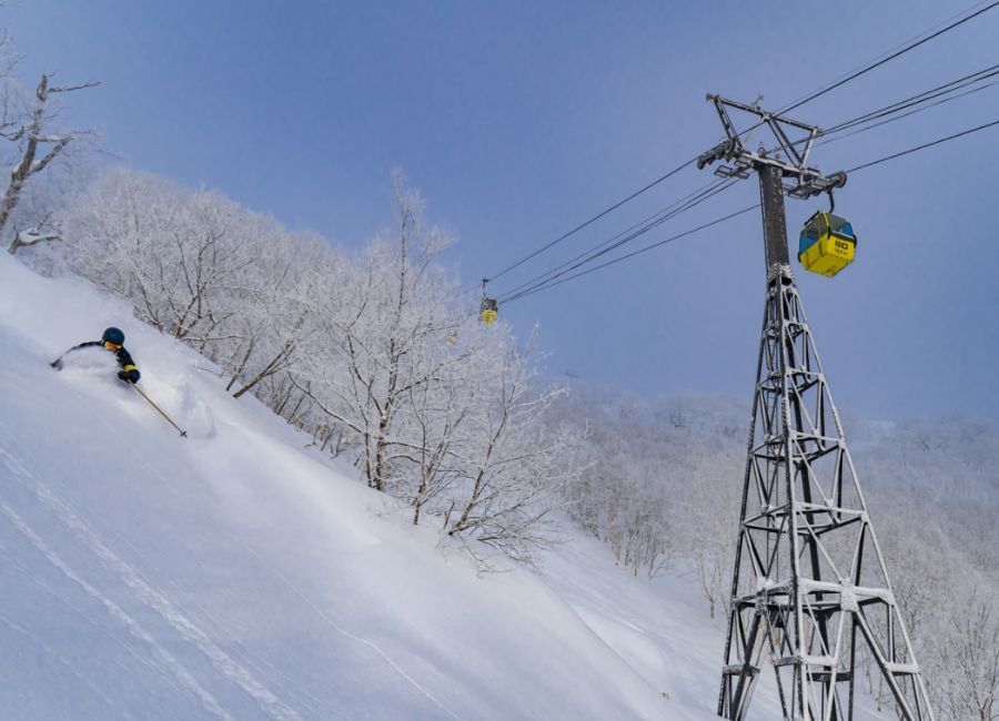 上級者限定開放區：非壓雪粉雪林間區