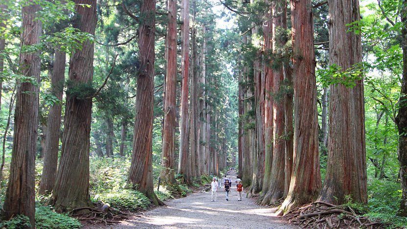 戶隱神社一日遊行程