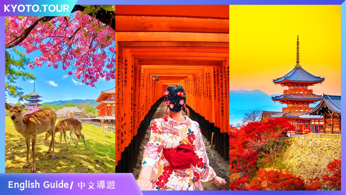 京都奈良一日遊|清水寺古街漫步・伏見稻荷大社・奈良公園餵鹿體驗|大阪/京都出發