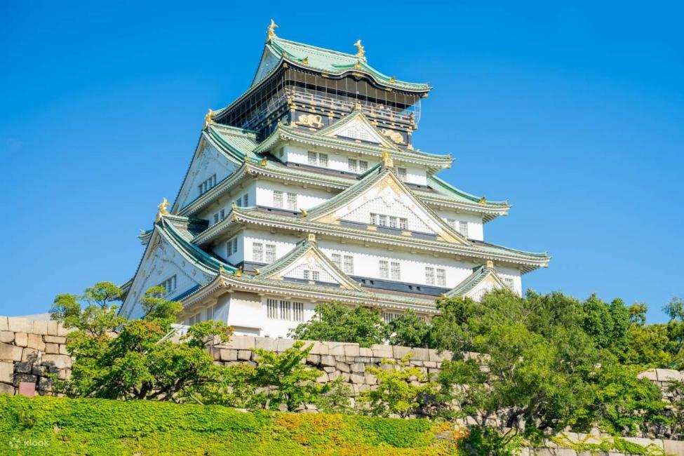 Japan | Osaka | Kyoto | Private Charter Day Trip | Round Trip from Osaka/Kyoto | Customized Itinerary