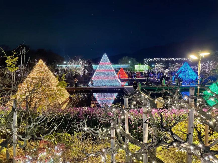 從新宿出發 |足利花卉公園觀賞燈飾+草莓採摘+佐野Premium Outlet+足利織姬神社