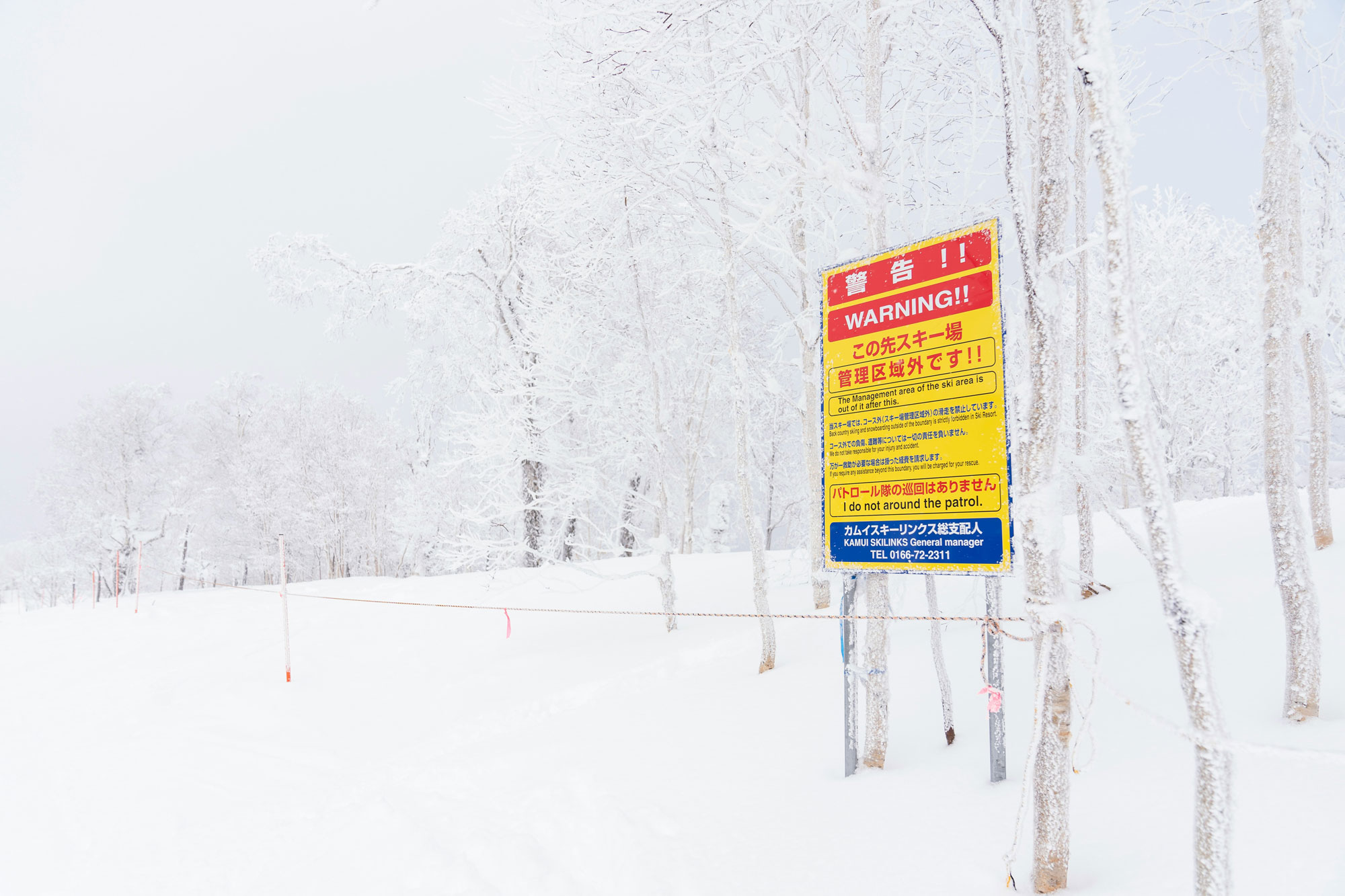 日本滑雪新手攻略2026：雪場怎麼選、雪具租借與必備清單