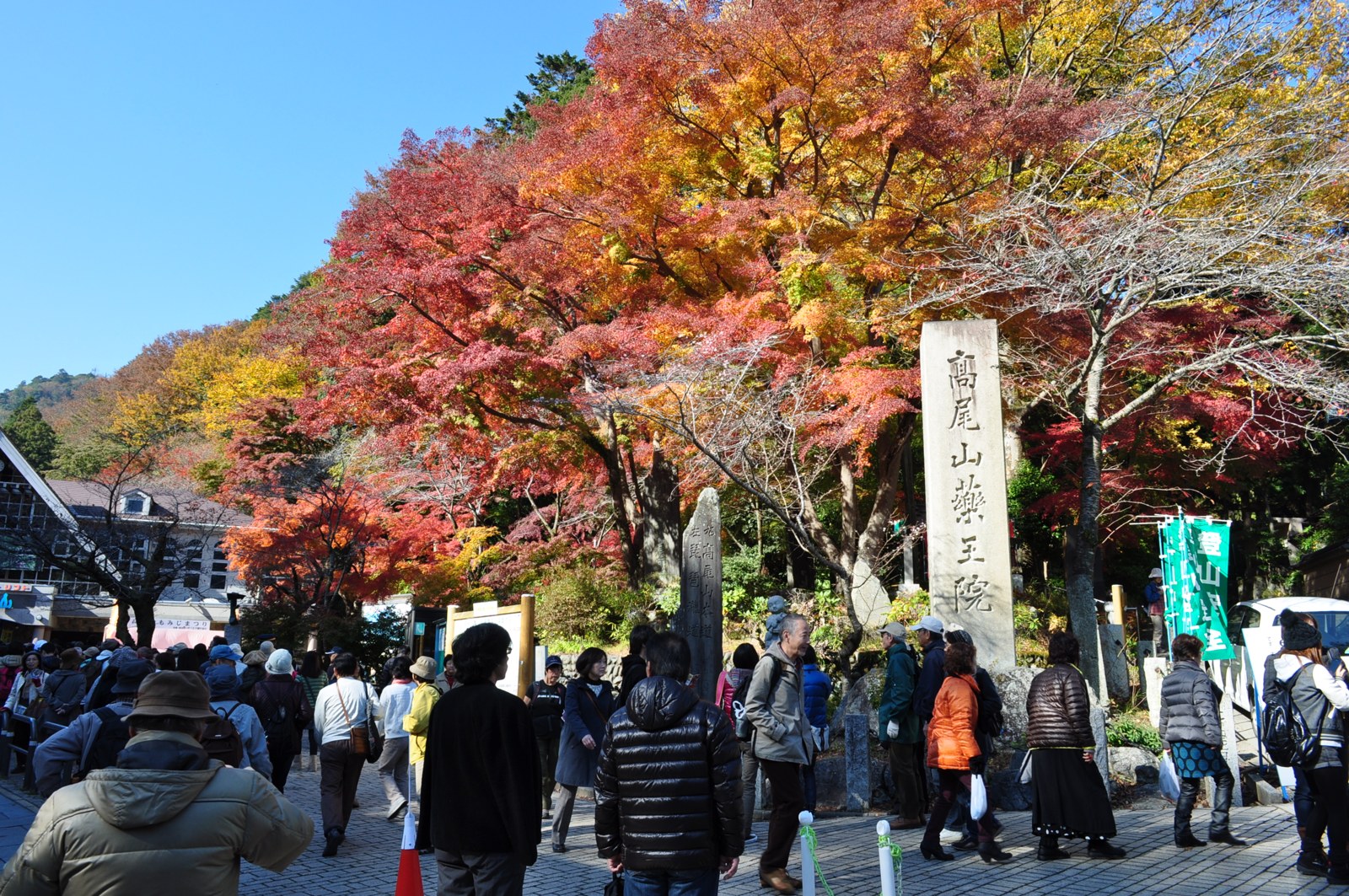 Tokyo Mt. Takao & Showa Kinen Park Autumn Leaves Day Trip (Cable Car Included)