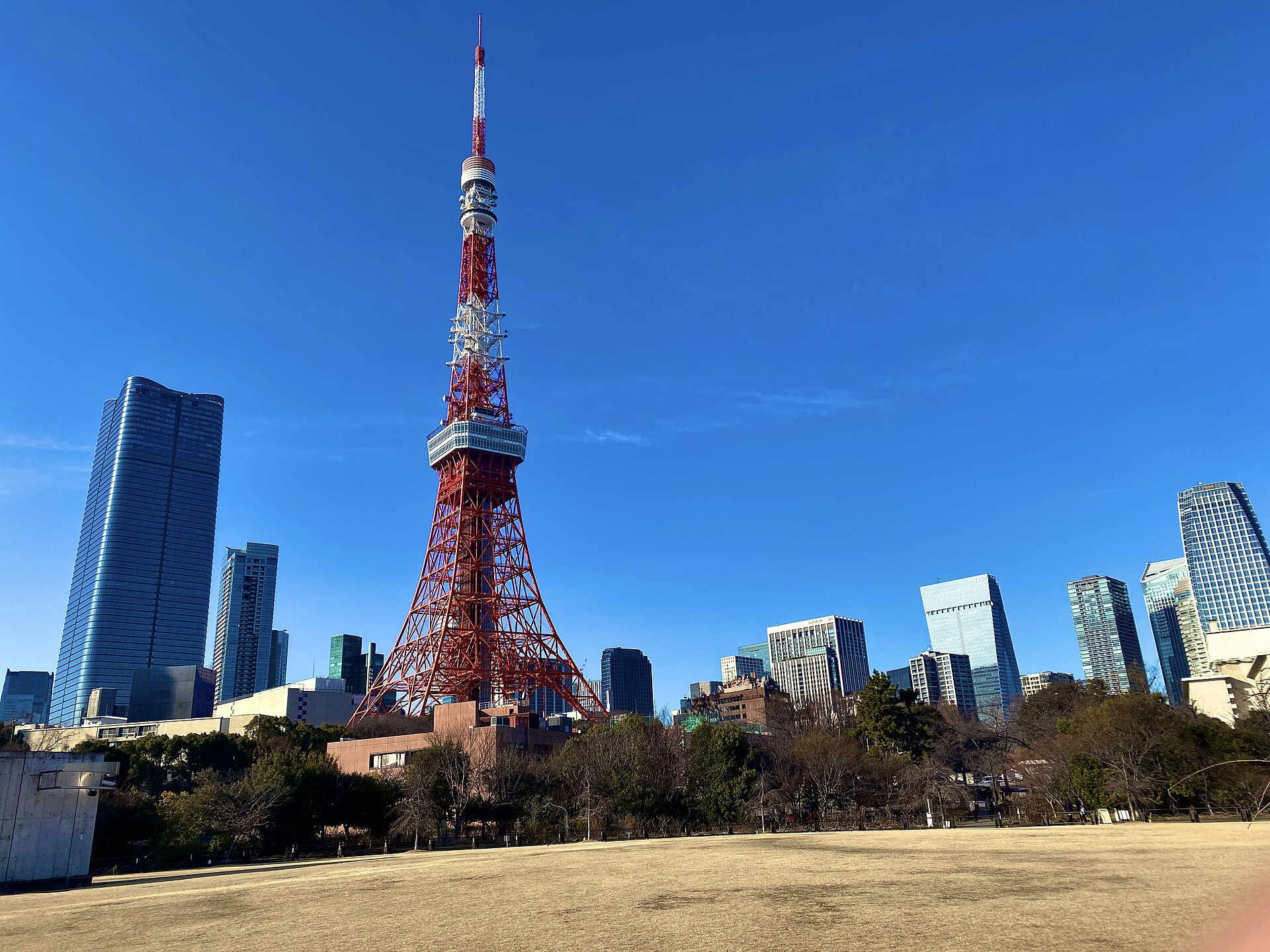 Red and white Tokyo Tower rising above trees and skyscrapers under a clear blue sky