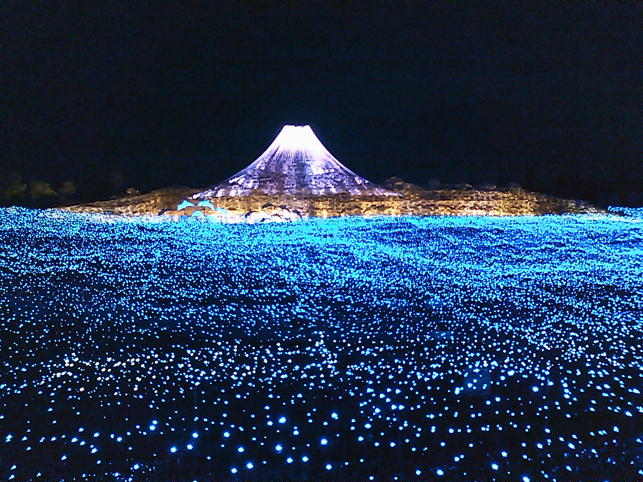Nagoya Nabana no Sato Illumination & Mitsui Outlet Park Jazz Dream Nagashima Onsen Day Trip | Round Trip from Nagoya