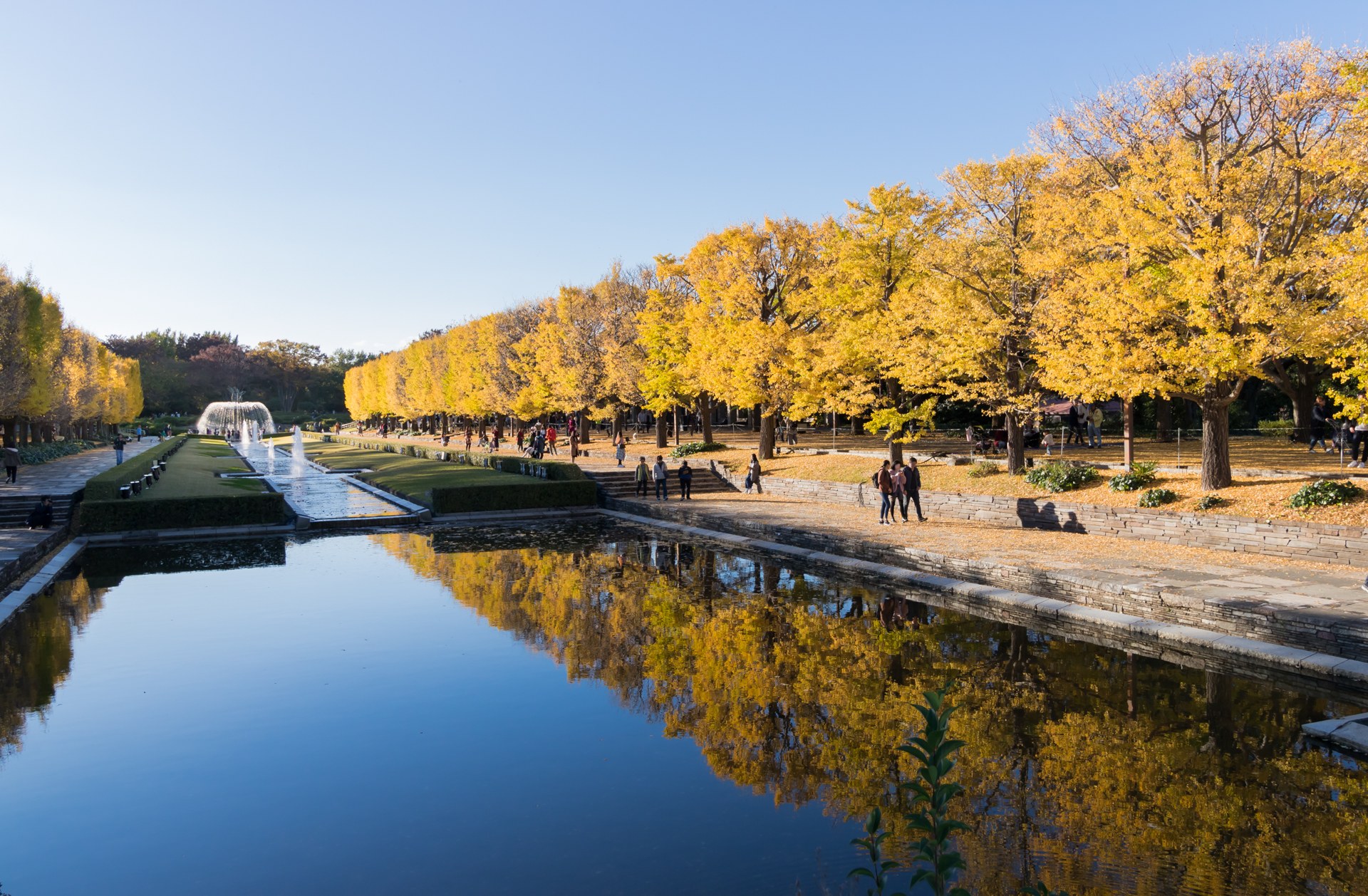 Tokyo Mt. Takao & Showa Kinen Park Autumn Leaves Day Trip (Cable Car Included)