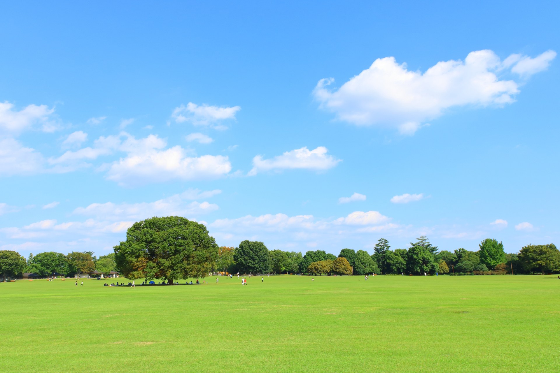 Tokyo Showa Kinen Park Segway Experience