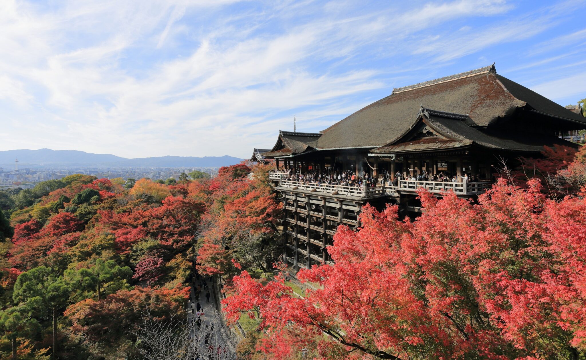 Kyoto: Kinkaku-ji & Kiyomizu-dera & Uji River & Byodo-in Day Trip (Departing from Osaka / Kyoto)