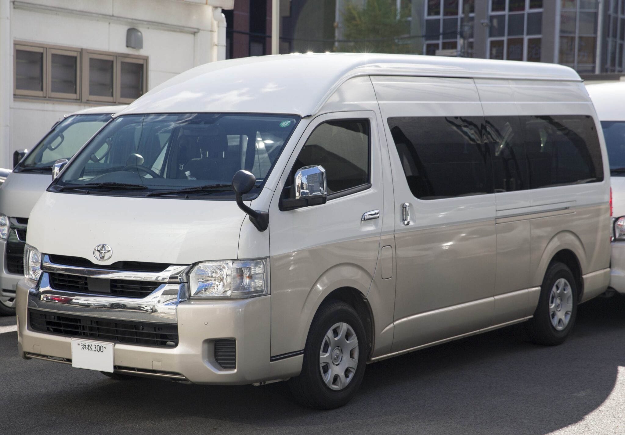 Private Charter Tour: Customized Osaka / Kyoto / Nara Day Trip