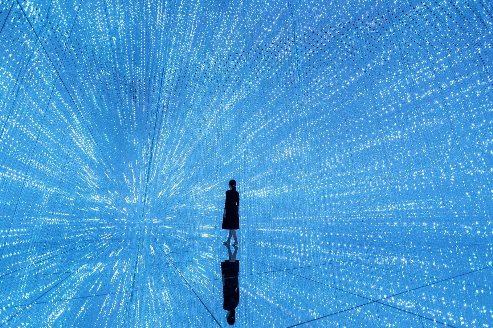 teamLab Borderless Tokyo Ticket Guide 2026: Azabudai Hills Borderless Museum Reservations, Prices, Transport and Must-See Highlights