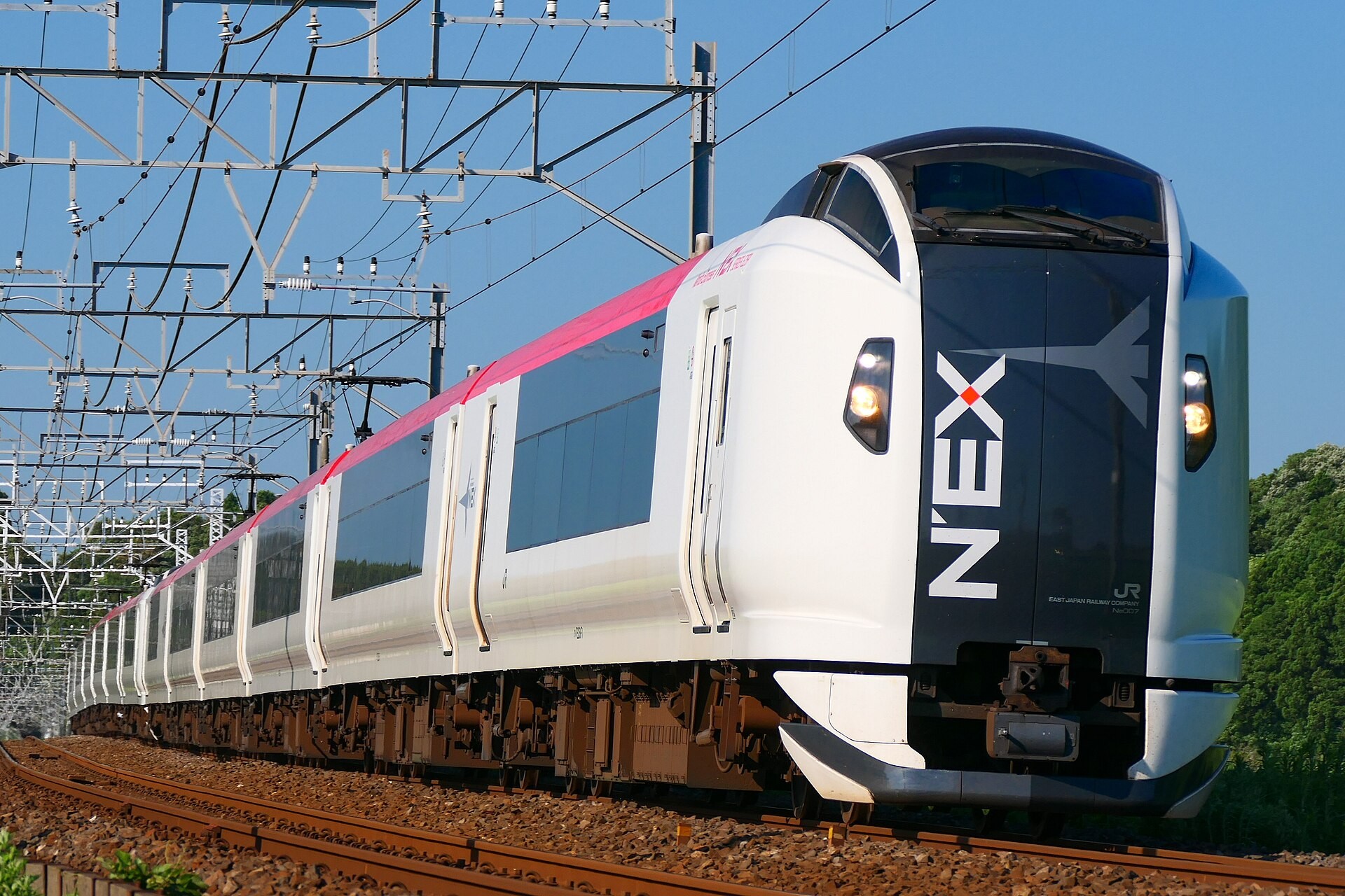 A white and pink N'EX express train with a dark blue nose travels along railway tracks beneath overhead wires, with green trees behind.