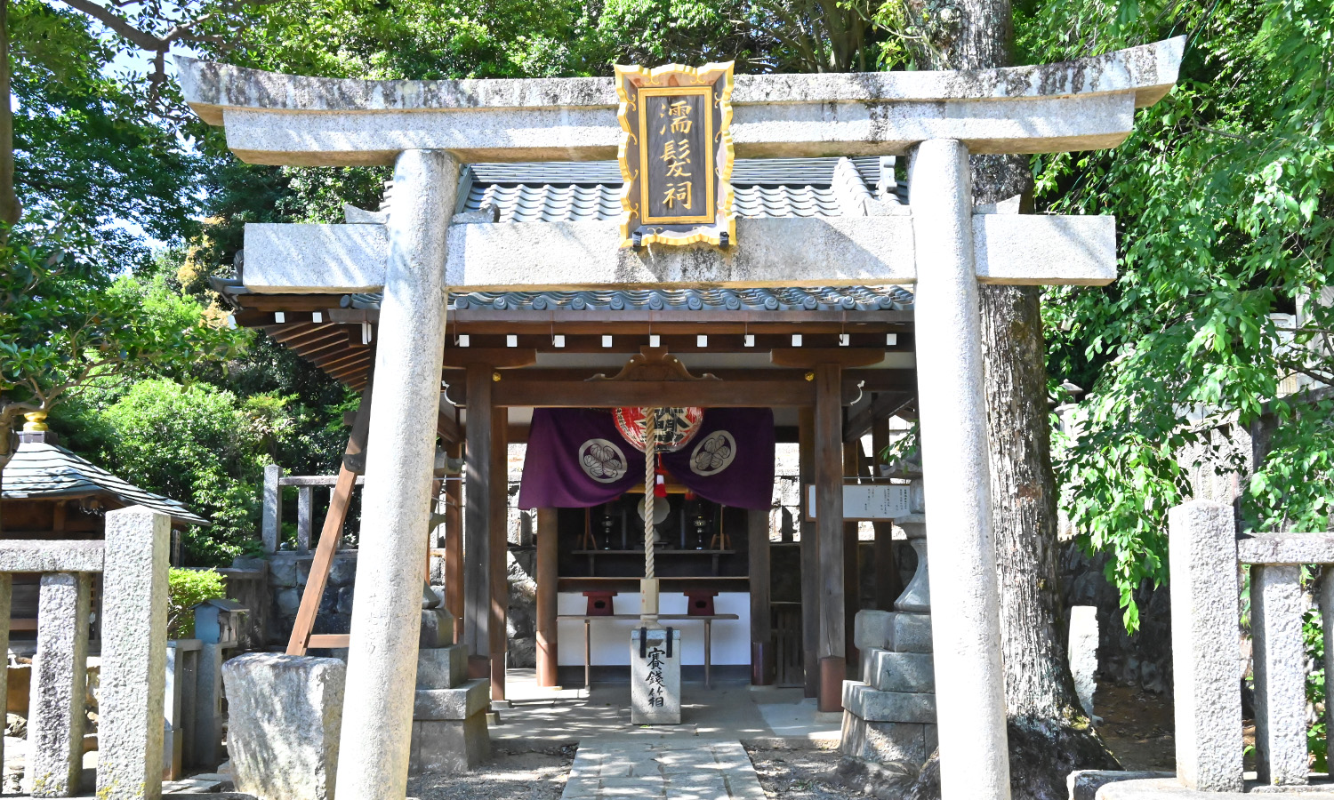 Stone torii gate framing a small wooden shrine with a purple curtain, surrounded by green trees.